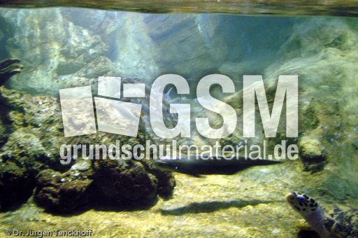 Singapur (60 von 118).jpg